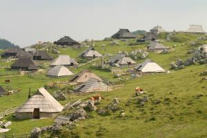 Velika planina 3